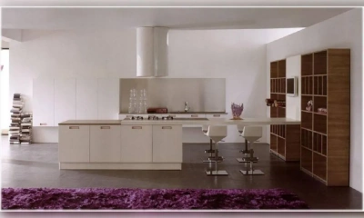 Кухня Aster Cucine Atelier 15