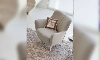 Кресло Halley Bebe 1