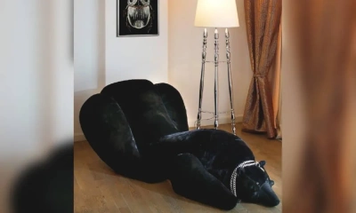 Кушетка Visionnaire Dubhe