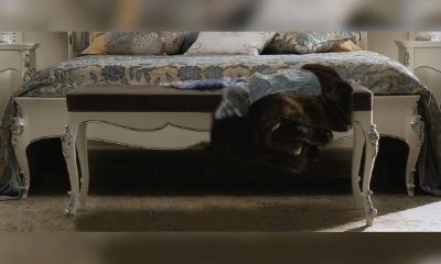 Банкетка Morello Gianpaolo Venere