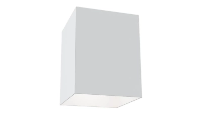 Потолочный Светильник Technical C015Cl-01W