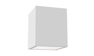 Потолочный Светильник Technical C002Cw-01W