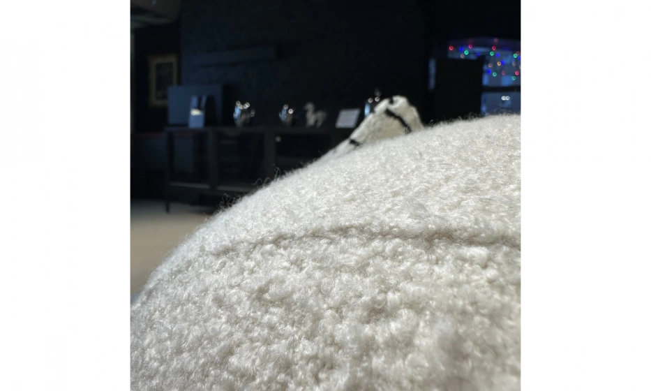 Диван Saloni Bonbon - фото 11