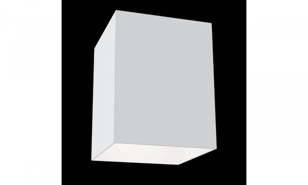 Потолочный Светильник Technical C015Cl-01W