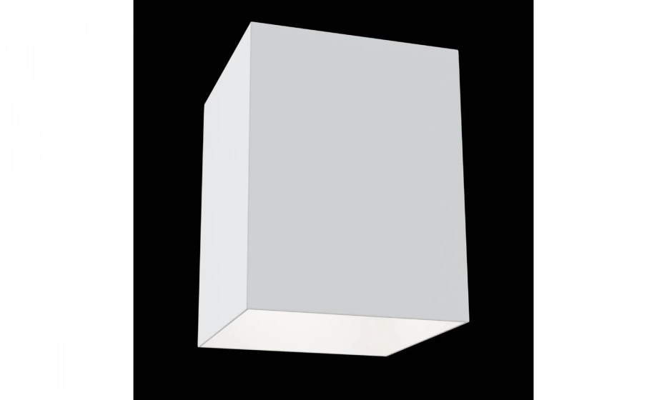 Потолочный Светильник Technical C015Cl-01W - фото 4