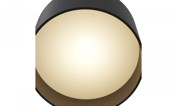 Потолочный Светильник Technical C009Cw-L12B