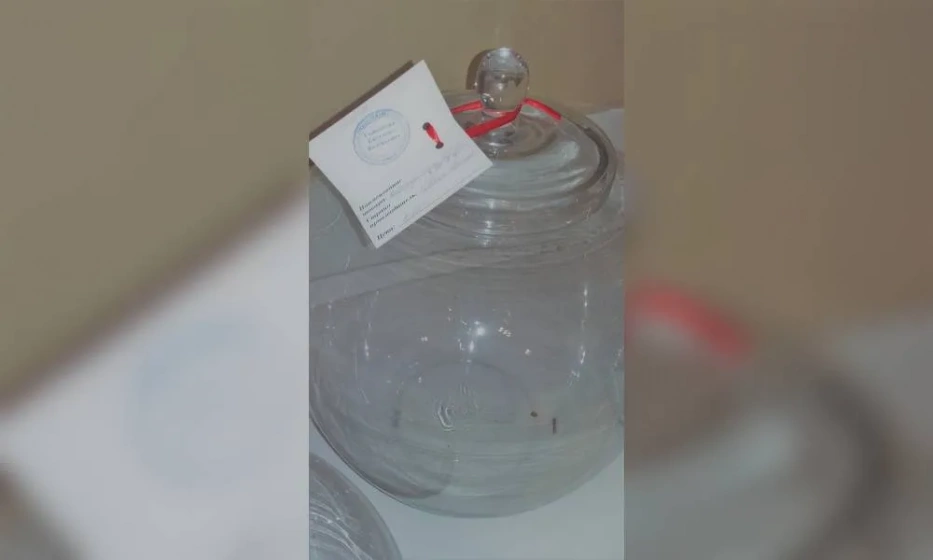 ваза стеклянная - фото 1