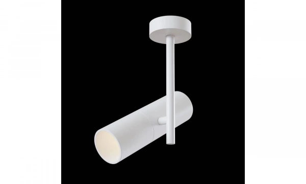 Потолочный Светильник Technical C020Cl-01W