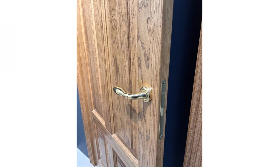 Дверь Астродорс Софи - фото 5